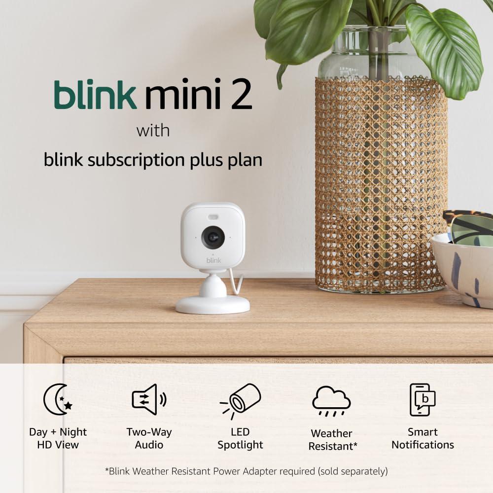 imageBlink Mini 2 Newest Model  Home Security ampamp Pet Cameras with HD video color night view motion detection twoway audio and builtin spotlight  2 cameras BlackWhite