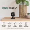 imageBlink Mini 2 Newest Model  Home Security ampamp Pet Cameras with HD video color night view motion detection twoway audio and builtin spotlight  2 cameras BlackBlack